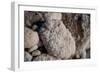 Middle East, Israel, Dead Sea Salt-Samuel Magal-Framed Photographic Print