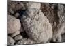 Middle East, Israel, Dead Sea Salt-Samuel Magal-Mounted Photographic Print