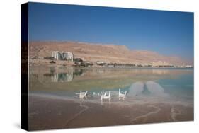 Middle East, Israel, Dead Sea-Samuel Magal-Stretched Canvas