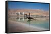 Middle East, Israel, Dead Sea-Samuel Magal-Framed Stretched Canvas