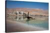 Middle East, Israel, Dead Sea-Samuel Magal-Stretched Canvas