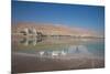 Middle East, Israel, Dead Sea-Samuel Magal-Mounted Photographic Print