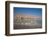 Middle East, Israel, Dead Sea-Samuel Magal-Framed Photographic Print