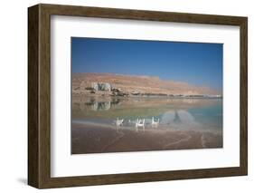 Middle East, Israel, Dead Sea-Samuel Magal-Framed Photographic Print