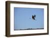 Middle East, Israel, Hula Park, Crane-Samuel Magal-Framed Photographic Print