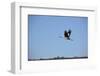 Middle East, Israel, Hula Park, Crane-Samuel Magal-Framed Photographic Print