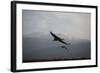 Middle East, Israel, Hula Park, Cranes-Samuel Magal-Framed Photographic Print