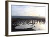 Middle East, Israel, Hula Park, Large group of Cranes near the lake-Samuel Magal-Framed Photographic Print