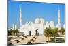 Middle East, United Arab Emirates, Abu Dhabi, Sheikh Zayed Grand Mosque-Christian Kober-Mounted Photographic Print