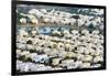 Middle East, United Arab Emirates, Dubai, Residential Villas-Christian Kober-Framed Photographic Print