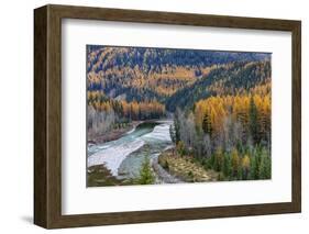 Middle Fork of the Flathead River in autumn in Glacier National Park, Montana, USA-Chuck Haney-Framed Photographic Print