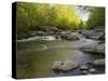 Middle Fork of the Little Pigeon River, Great Smoky Mountains National Park, Tennessee, Usa-Adam Jones-Stretched Canvas