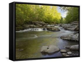 Middle Fork of the Little Pigeon River, Great Smoky Mountains National Park, Tennessee, Usa-Adam Jones-Framed Stretched Canvas