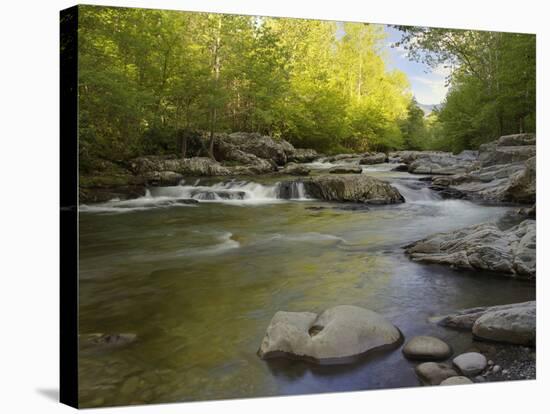 Middle Fork of the Little Pigeon River, Great Smoky Mountains National Park, Tennessee, Usa-Adam Jones-Stretched Canvas