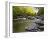 Middle Fork of the Little Pigeon River, Great Smoky Mountains National Park, Tennessee, Usa-Adam Jones-Framed Photographic Print