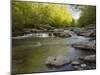 Middle Fork of the Little Pigeon River, Great Smoky Mountains National Park, Tennessee, Usa-Adam Jones-Mounted Photographic Print