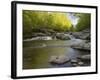 Middle Fork of the Little Pigeon River, Great Smoky Mountains National Park, Tennessee, Usa-Adam Jones-Framed Photographic Print