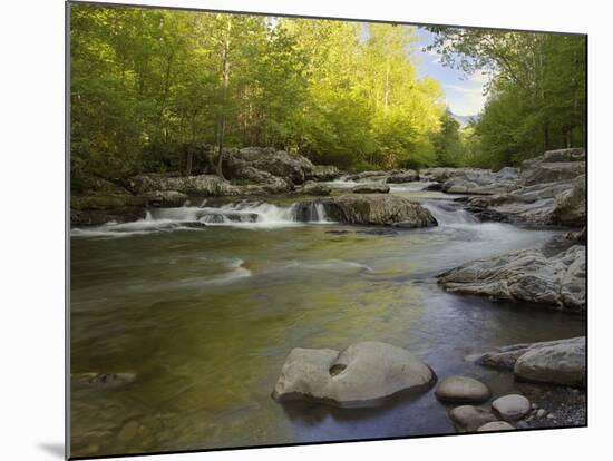Middle Fork of the Little Pigeon River, Great Smoky Mountains National Park, Tennessee, Usa-Adam Jones-Mounted Photographic Print