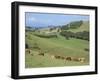 Middle Island Farm, Waiheke Island, Hauraki Gulf, North Island, New Zealand-Ken Gillham-Framed Photographic Print