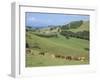 Middle Island Farm, Waiheke Island, Hauraki Gulf, North Island, New Zealand-Ken Gillham-Framed Photographic Print