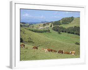 Middle Island Farm, Waiheke Island, Hauraki Gulf, North Island, New Zealand-Ken Gillham-Framed Photographic Print