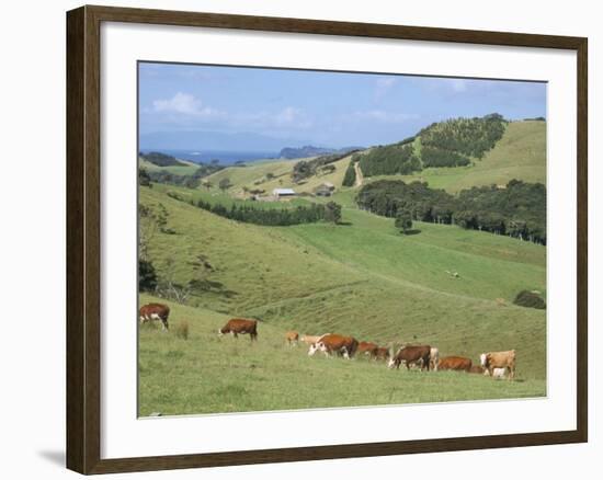 Middle Island Farm, Waiheke Island, Hauraki Gulf, North Island, New Zealand-Ken Gillham-Framed Photographic Print