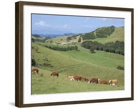 Middle Island Farm, Waiheke Island, Hauraki Gulf, North Island, New Zealand-Ken Gillham-Framed Photographic Print