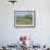 Middle Island Farm, Waiheke Island, Hauraki Gulf, North Island, New Zealand-Ken Gillham-Framed Photographic Print displayed on a wall