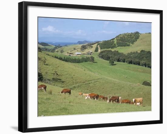 Middle Island Farm, Waiheke Island, Hauraki Gulf, North Island, New Zealand-Ken Gillham-Framed Photographic Print