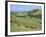 Middle Island Farm, Waiheke Island, Hauraki Gulf, North Island, New Zealand-Ken Gillham-Framed Photographic Print