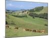 Middle Island Farm, Waiheke Island, Hauraki Gulf, North Island, New Zealand-Ken Gillham-Mounted Photographic Print