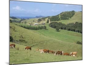 Middle Island Farm, Waiheke Island, Hauraki Gulf, North Island, New Zealand-Ken Gillham-Mounted Photographic Print