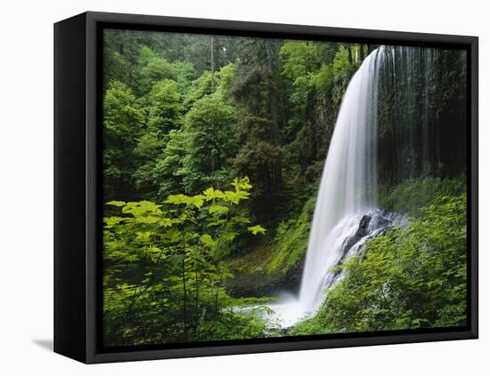 Middle North Falls, Silver Falls State Park, Oregon, USA-Adam Jones-Framed Stretched Canvas