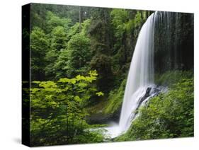 Middle North Falls, Silver Falls State Park, Oregon, USA-Adam Jones-Stretched Canvas