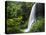 Middle North Falls, Silver Falls State Park, Oregon, USA-Adam Jones-Stretched Canvas