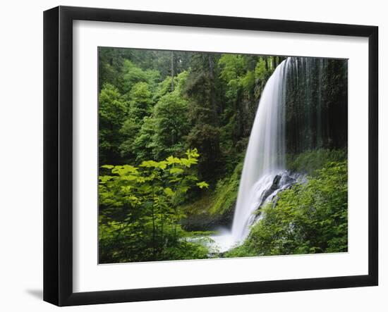 Middle North Falls, Silver Falls State Park, Oregon, USA-Adam Jones-Framed Photographic Print