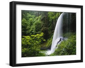 Middle North Falls, Silver Falls State Park, Oregon, USA-Adam Jones-Framed Photographic Print