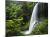 Middle North Falls, Silver Falls State Park, Oregon, USA-Adam Jones-Mounted Photographic Print