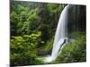 Middle North Falls, Silver Falls State Park, Oregon, USA-Adam Jones-Mounted Photographic Print