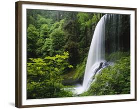 Middle North Falls, Silver Falls State Park, Oregon, USA-Adam Jones-Framed Photographic Print