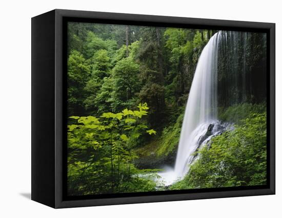 Middle North Falls, Silver Falls State Park, Oregon, USA-Adam Jones-Framed Stretched Canvas