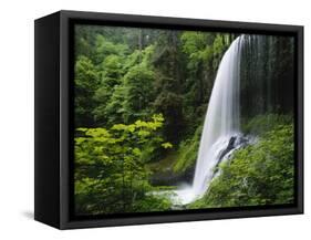 Middle North Falls, Silver Falls State Park, Oregon, USA-Adam Jones-Framed Stretched Canvas