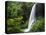 Middle North Falls, Silver Falls State Park, Oregon, USA-Adam Jones-Stretched Canvas