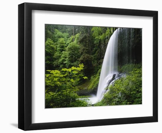 Middle North Falls, Silver Falls State Park, Oregon, USA-Adam Jones-Framed Photographic Print