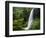 Middle North Falls, Silver Falls State Park, Oregon, USA-Adam Jones-Framed Photographic Print