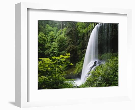 Middle North Falls, Silver Falls State Park, Oregon, USA-Adam Jones-Framed Photographic Print