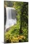 Middle North Falls, Silver Falls State Park, Oregon, USA-Jamie & Judy Wild-Mounted Photographic Print