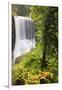 Middle North Falls, Silver Falls State Park, Oregon, USA-Jamie & Judy Wild-Framed Photographic Print