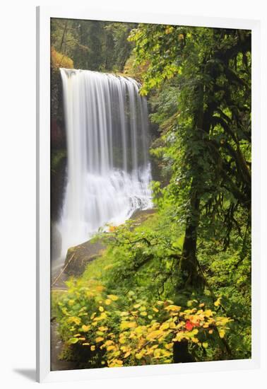 Middle North Falls, Silver Falls State Park, Oregon, USA-Jamie & Judy Wild-Framed Premium Photographic Print