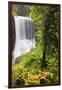 Middle North Falls, Silver Falls State Park, Oregon, USA-Jamie & Judy Wild-Framed Premium Photographic Print
